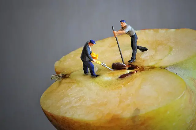two tiny toy men removing a seed from the core of an apple showing inner core or essence 